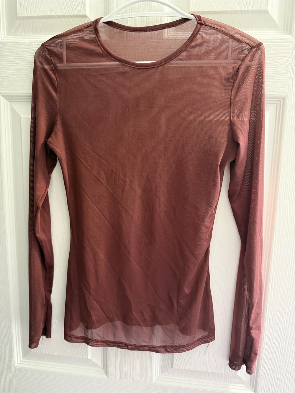 Sheer Long-Sleeve Layering Top in Mauve Brown